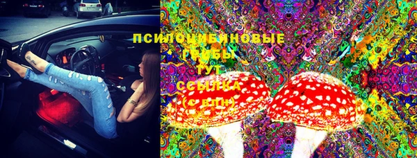 хмурый Ладушкин