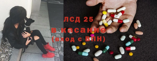 сатива Лихославль