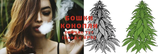 сатива Лихославль