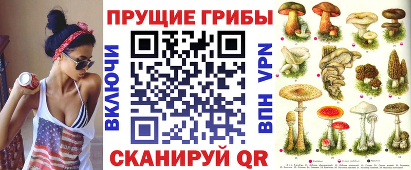 купить наркотик  Нерчинск  OMG как зайти  нарко площадка телеграм  Галлюциногенные грибы Cubensis 