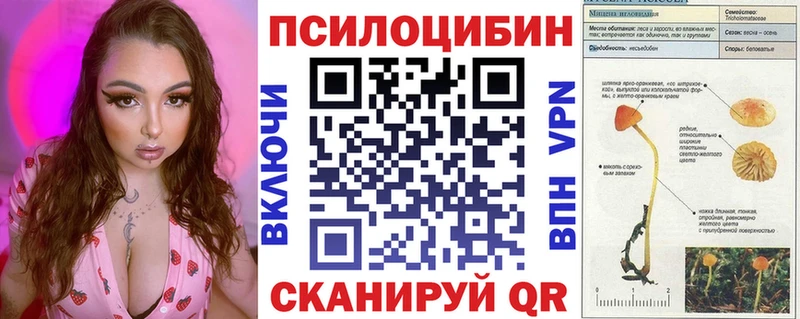 Галлюциногенные грибы Psilocybe Нерчинск